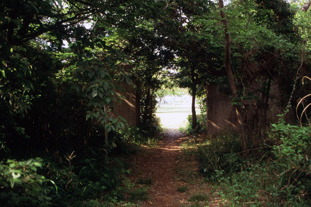 f:id:aremo-koremo:20210506184919j:plain