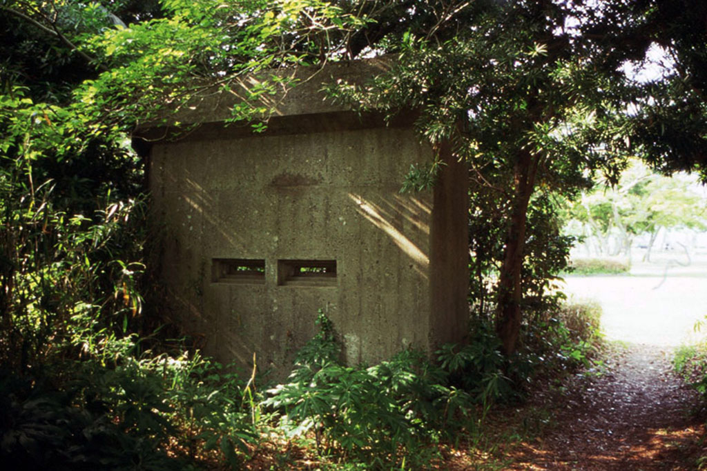 f:id:aremo-koremo:20210506185045j:plain