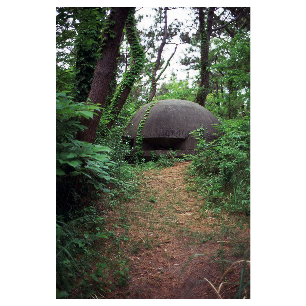 f:id:aremo-koremo:20210506185221j:plain