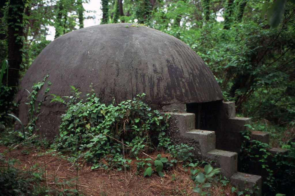 f:id:aremo-koremo:20210506185409j:plain