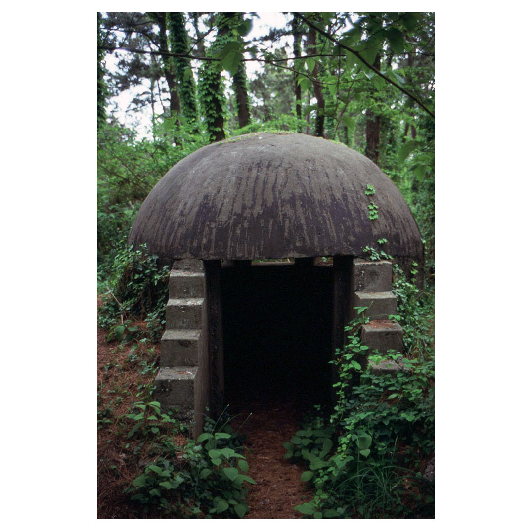 f:id:aremo-koremo:20210506185530j:plain