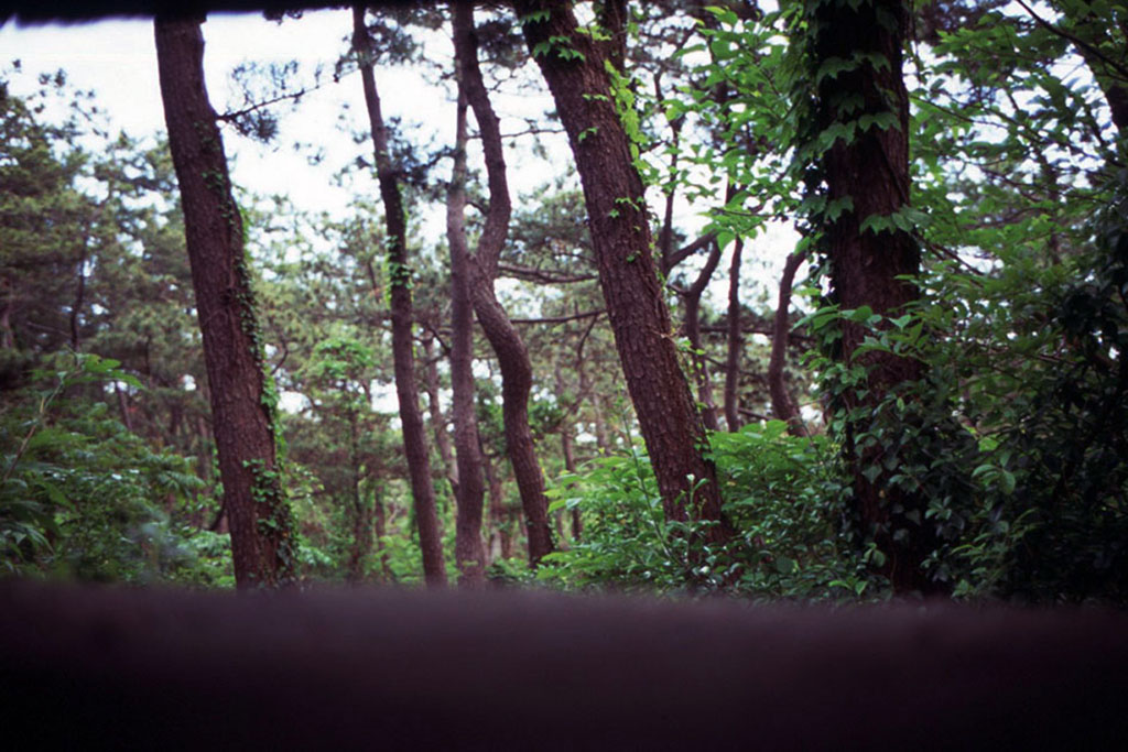 f:id:aremo-koremo:20210506185621j:plain