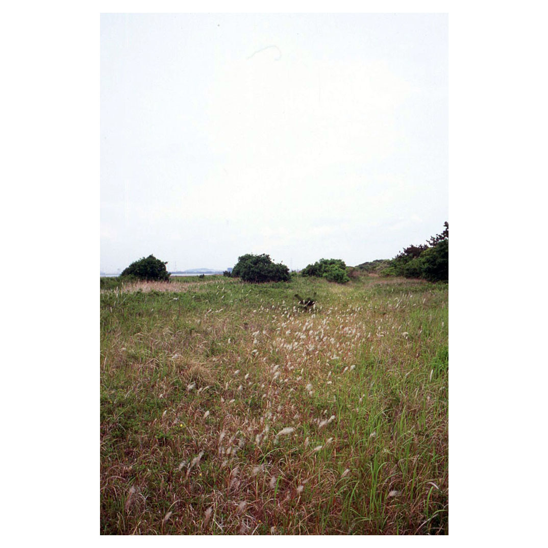 f:id:aremo-koremo:20210507020344j:plain