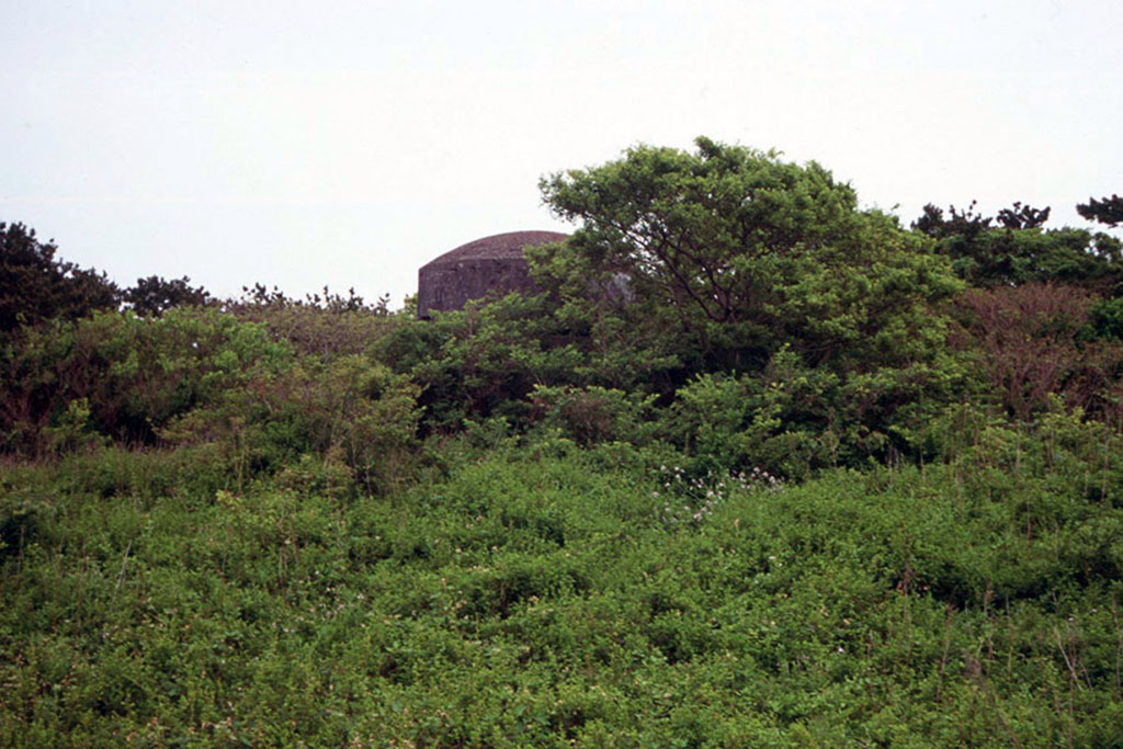 f:id:aremo-koremo:20210507020549j:plain