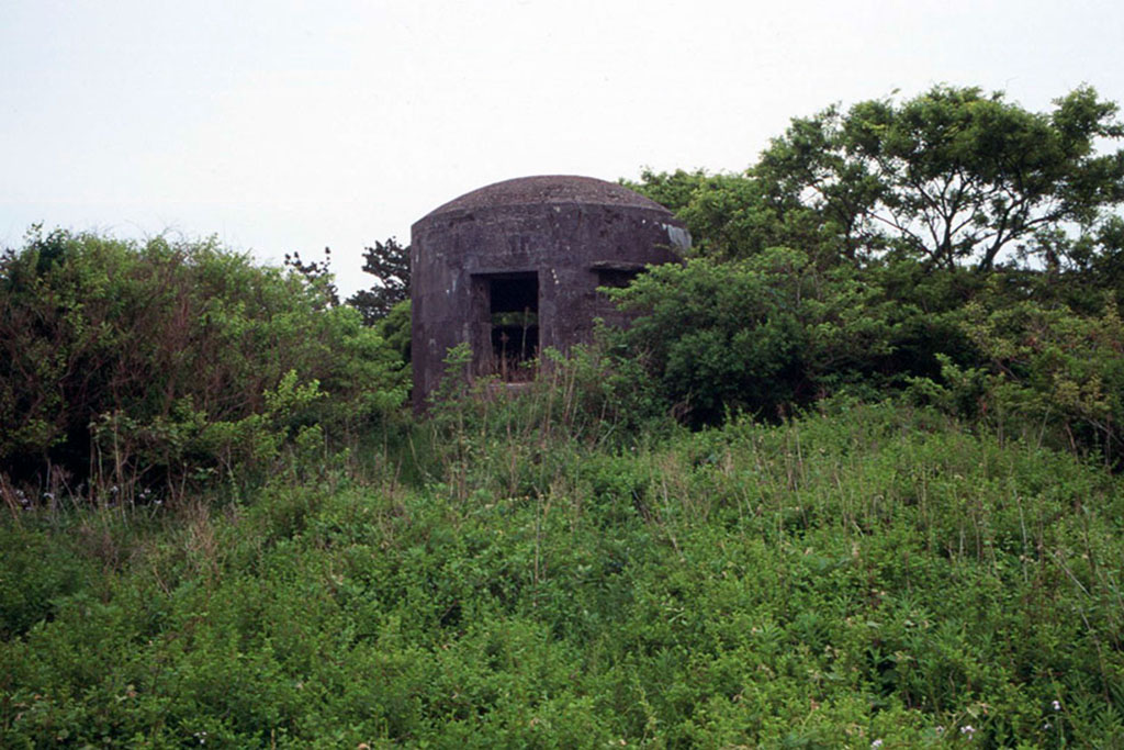 f:id:aremo-koremo:20210507020644j:plain