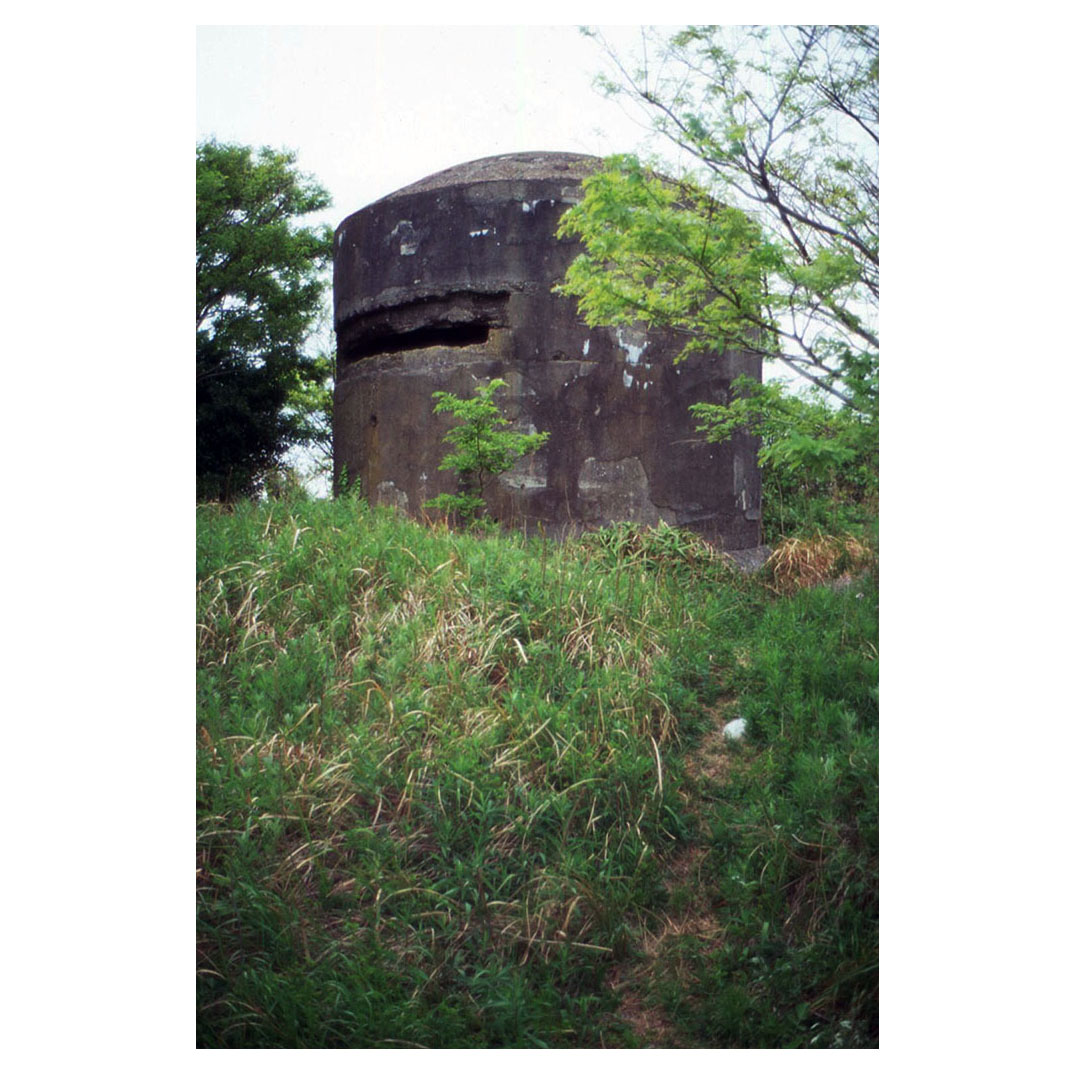 f:id:aremo-koremo:20210507020945j:plain