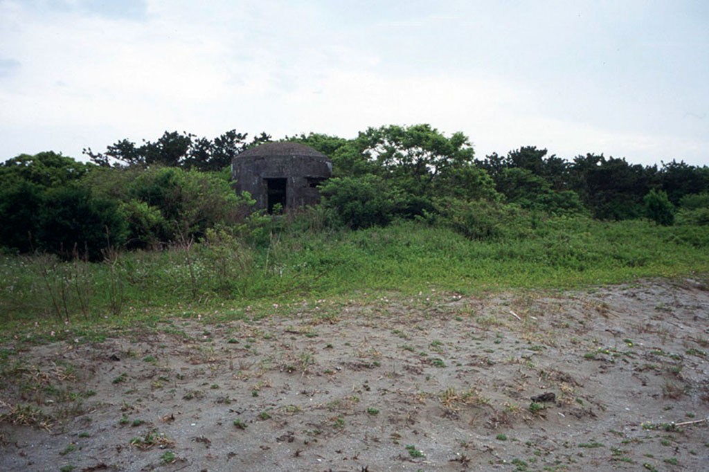 f:id:aremo-koremo:20210507021229j:plain