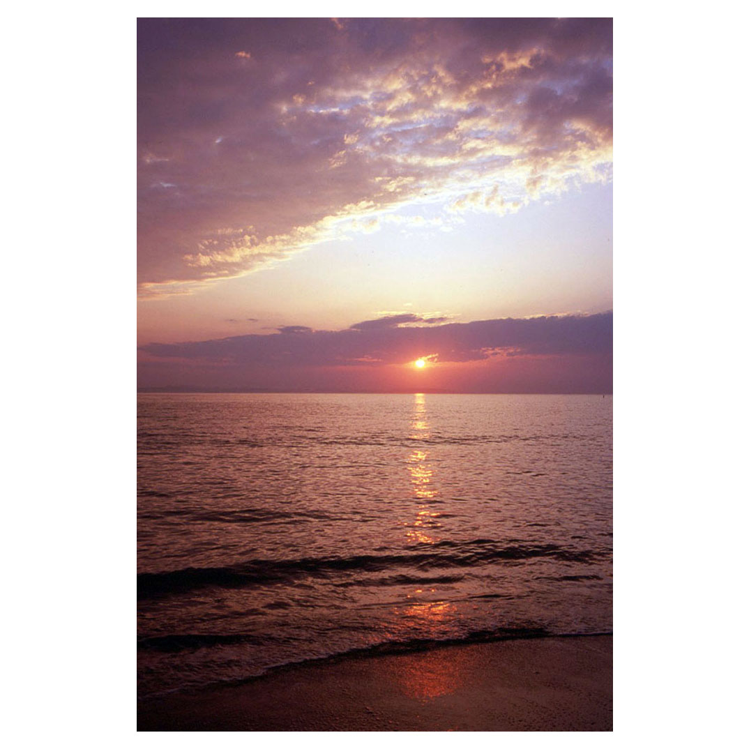 f:id:aremo-koremo:20210507021745j:plain