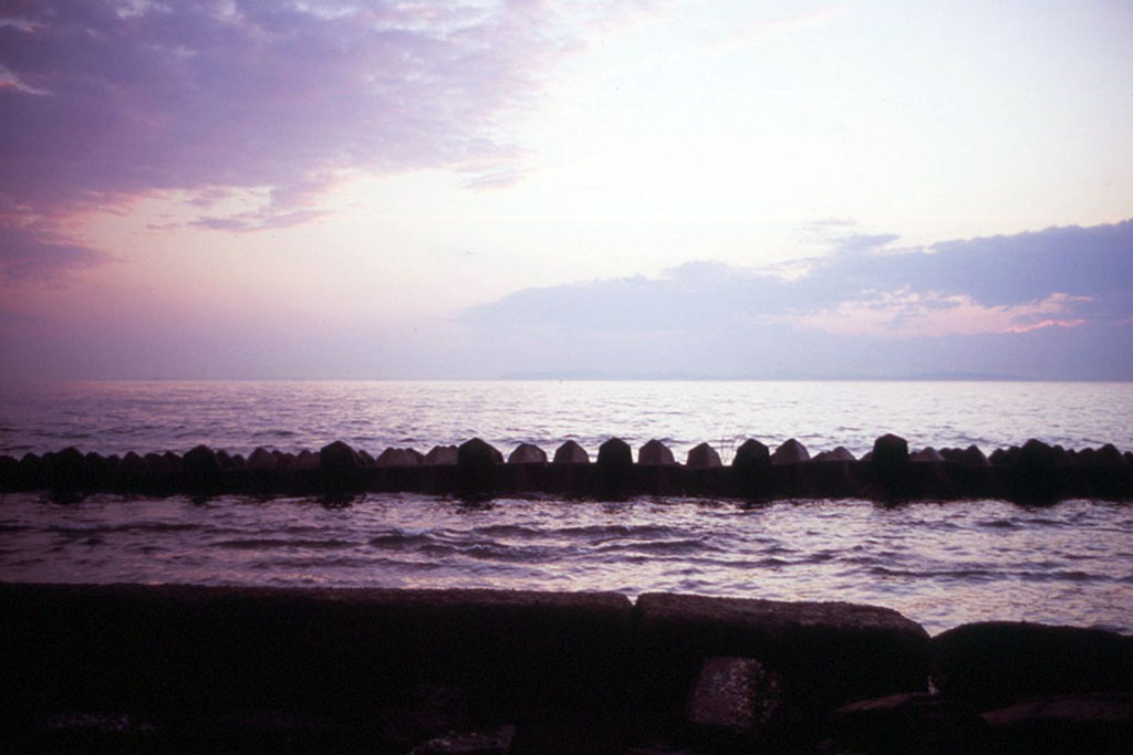 f:id:aremo-koremo:20210507021851j:plain