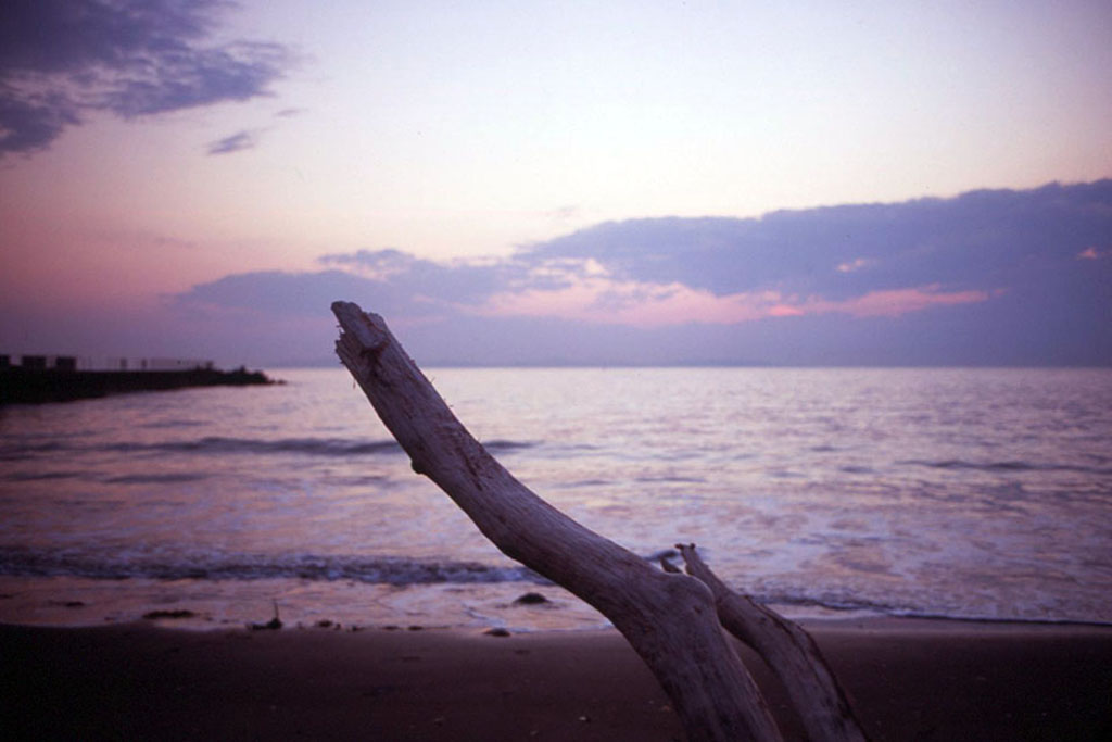 f:id:aremo-koremo:20210507022036j:plain