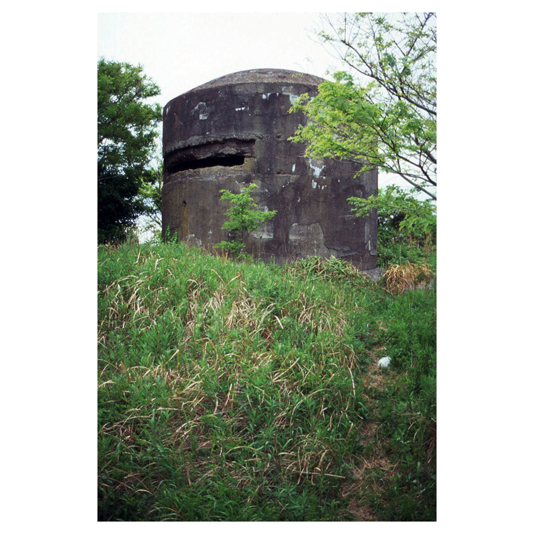 f:id:aremo-koremo:20210507022344j:plain