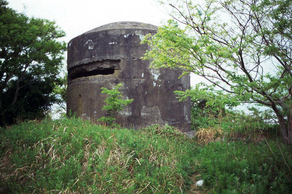 f:id:aremo-koremo:20210507022518j:plain