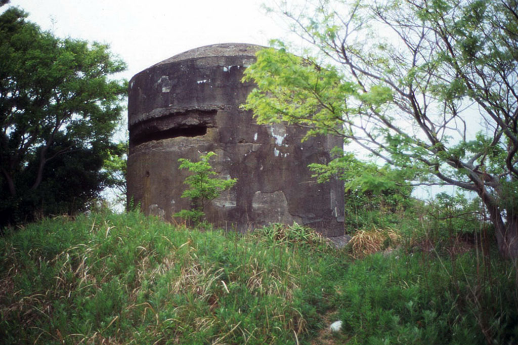 f:id:aremo-koremo:20210507022545j:plain