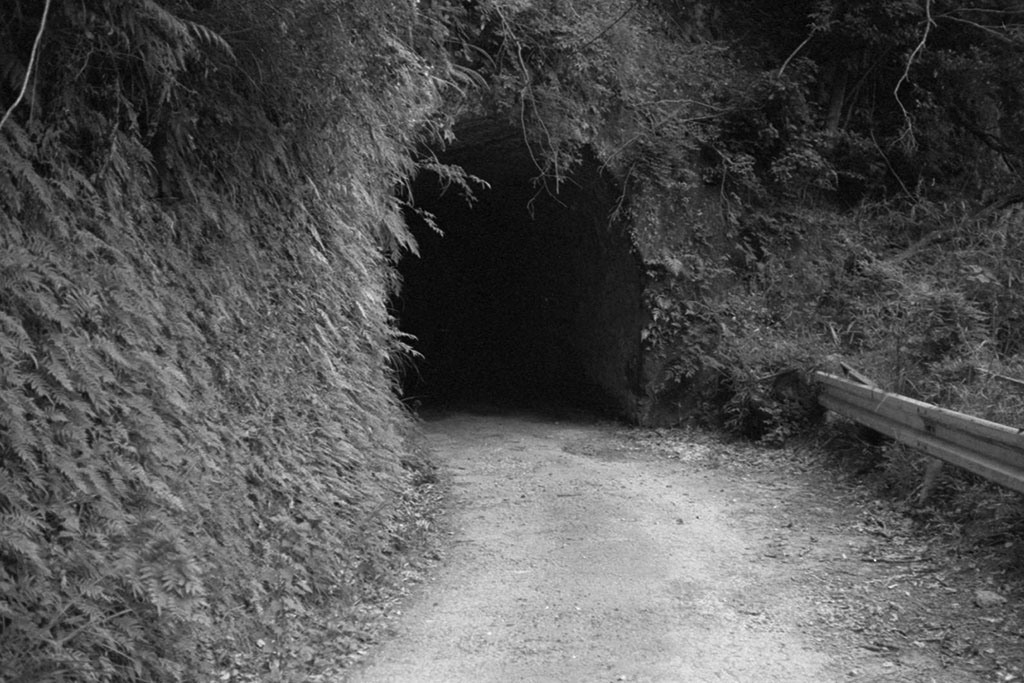 f:id:aremo-koremo:20210526024051j:plain