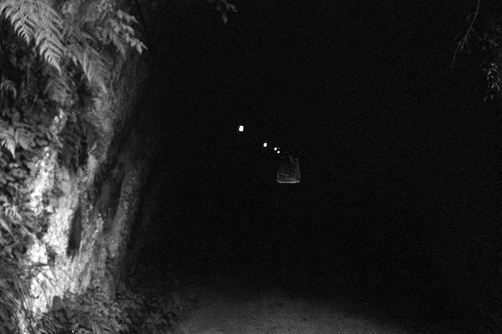 f:id:aremo-koremo:20210526024537j:plain