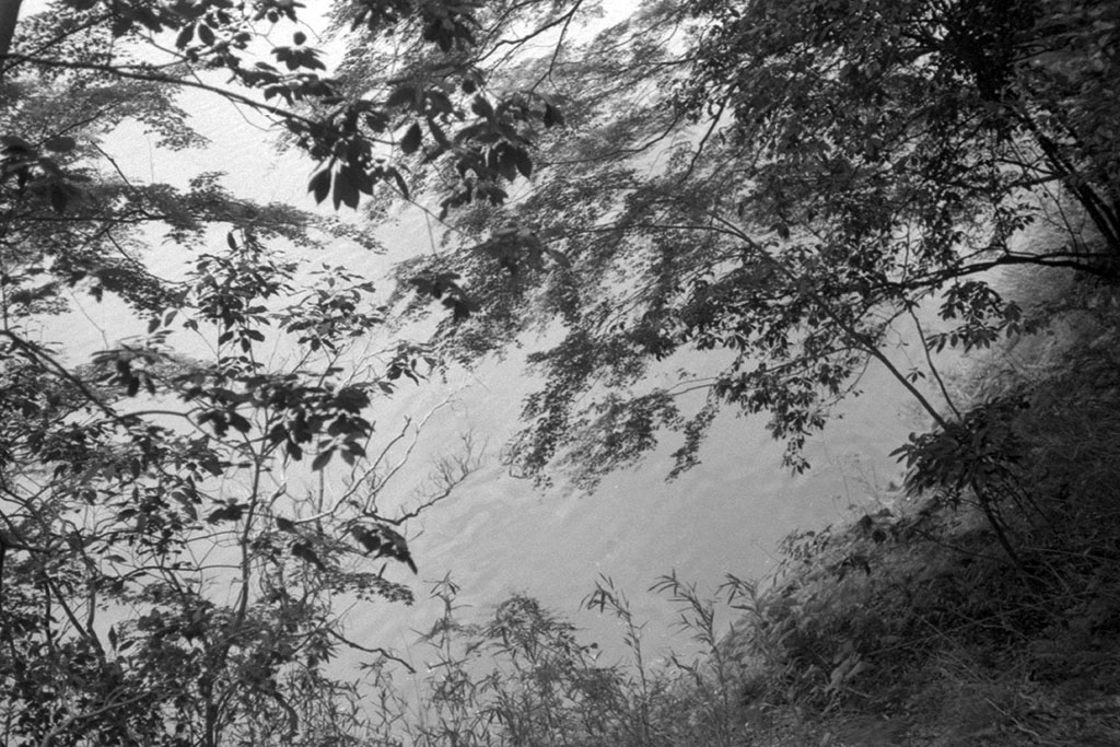 f:id:aremo-koremo:20210526025121j:plain