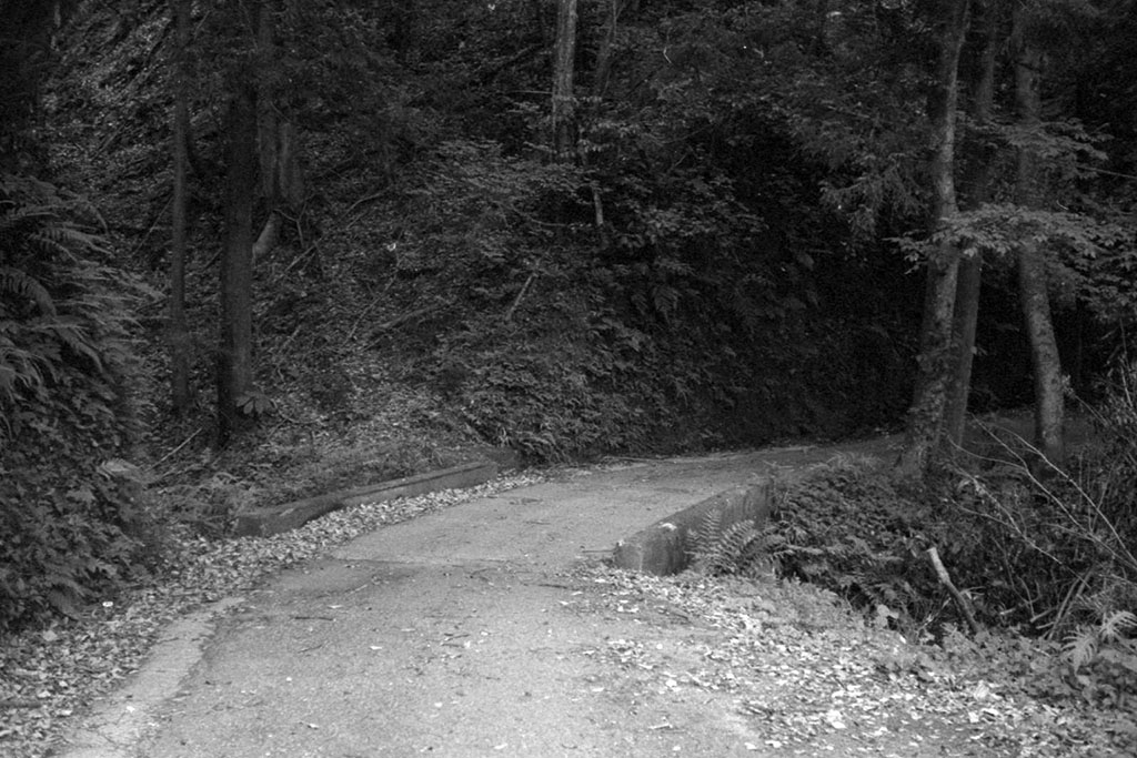 f:id:aremo-koremo:20210526025355j:plain