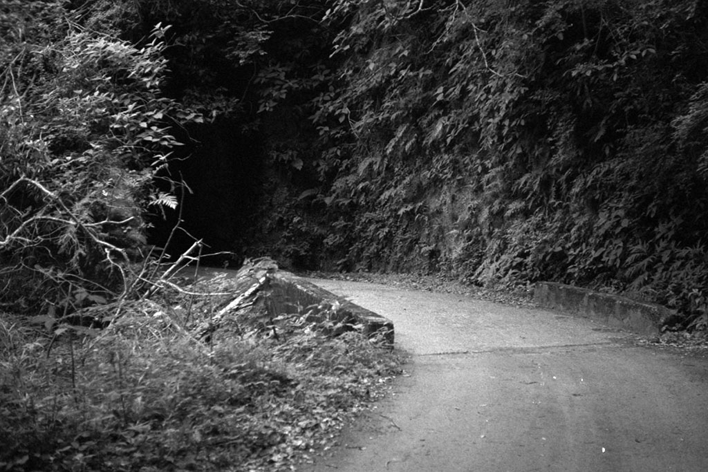 f:id:aremo-koremo:20210526025503j:plain