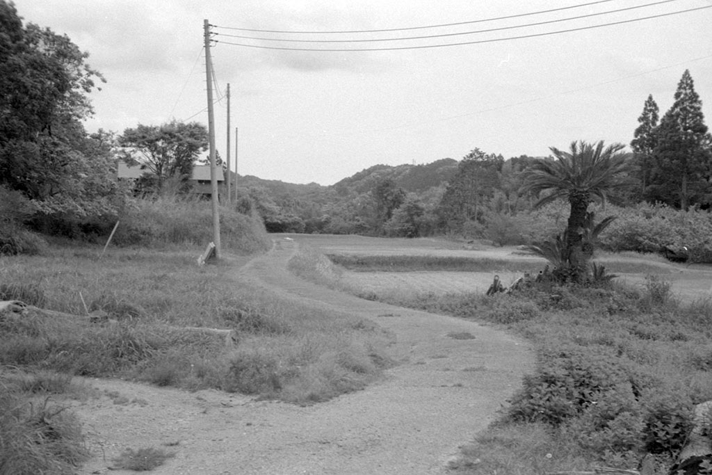 f:id:aremo-koremo:20210526025543j:plain