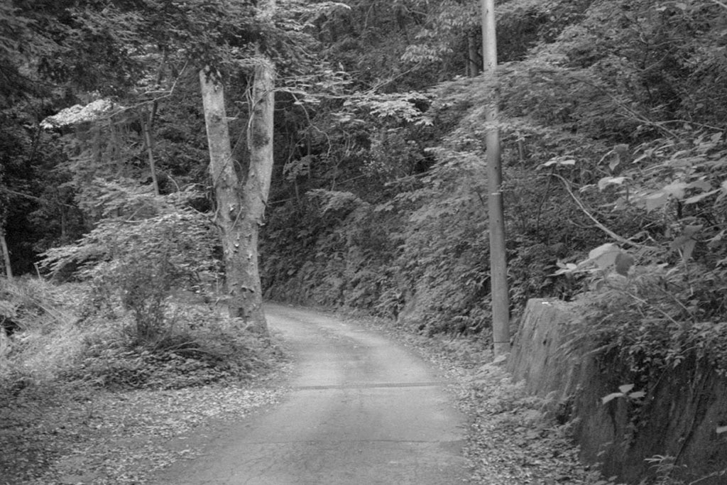 f:id:aremo-koremo:20210528150432j:plain