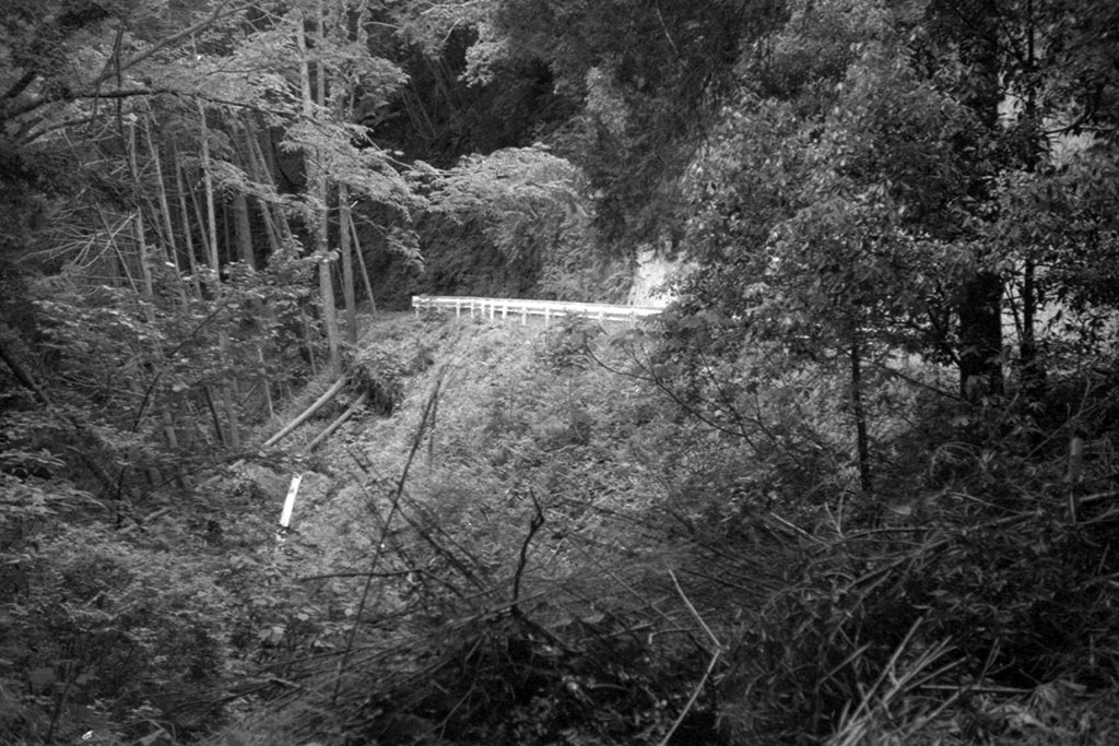 f:id:aremo-koremo:20210528150641j:plain