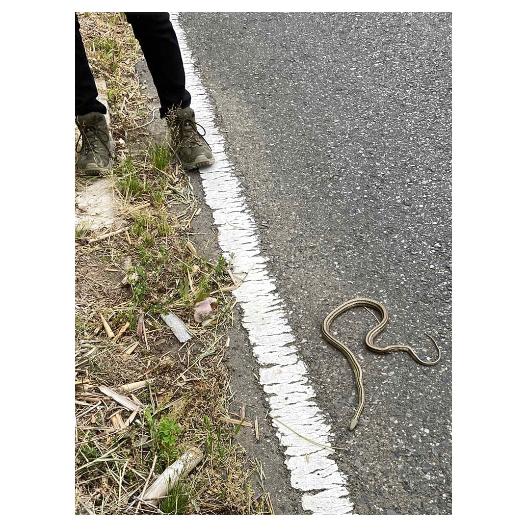 f:id:aremo-koremo:20210528153014j:plain