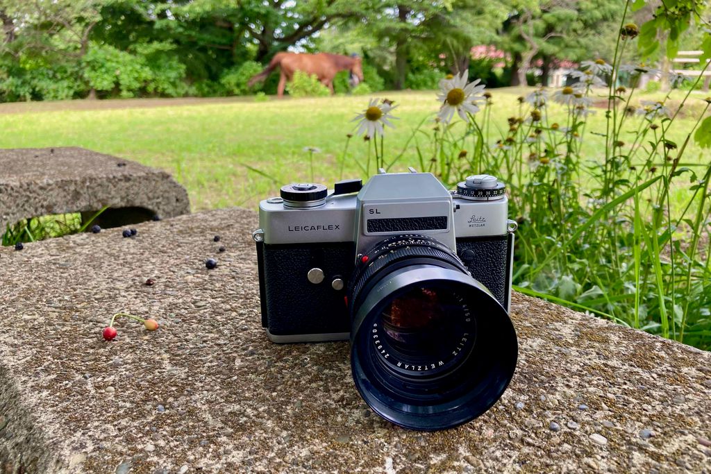 f:id:aremo-koremo:20210603031322j:plain