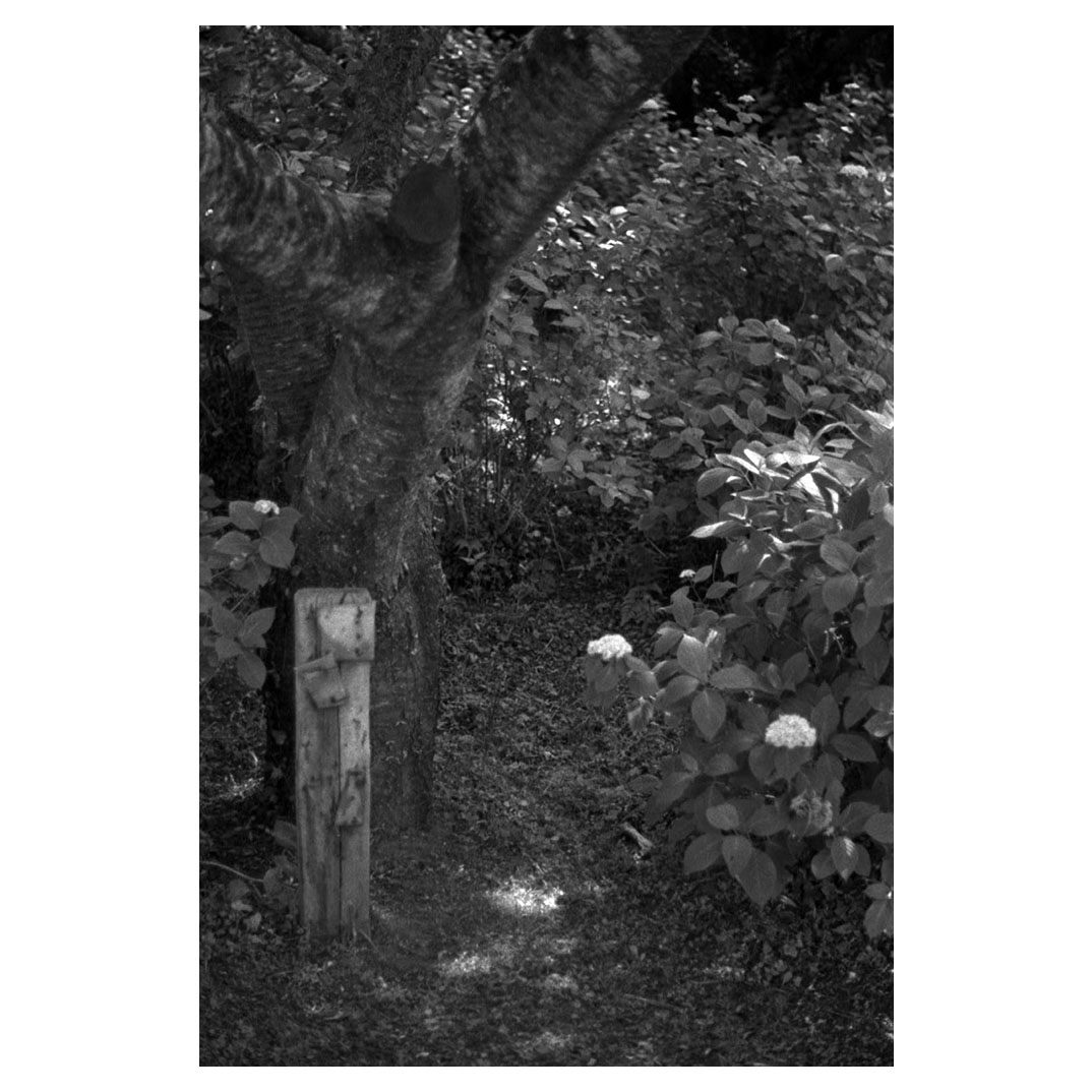 f:id:aremo-koremo:20210603031750j:plain