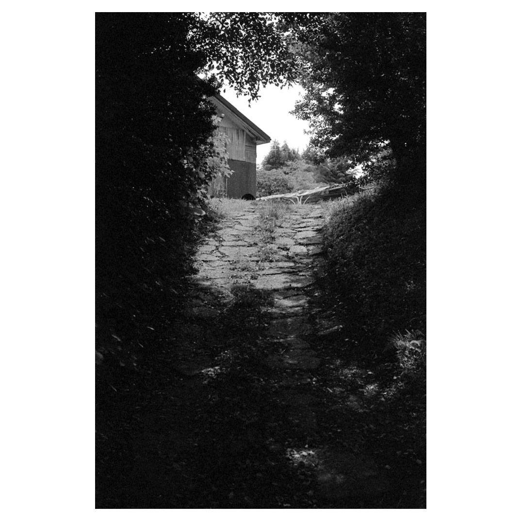 f:id:aremo-koremo:20210603032159j:plain