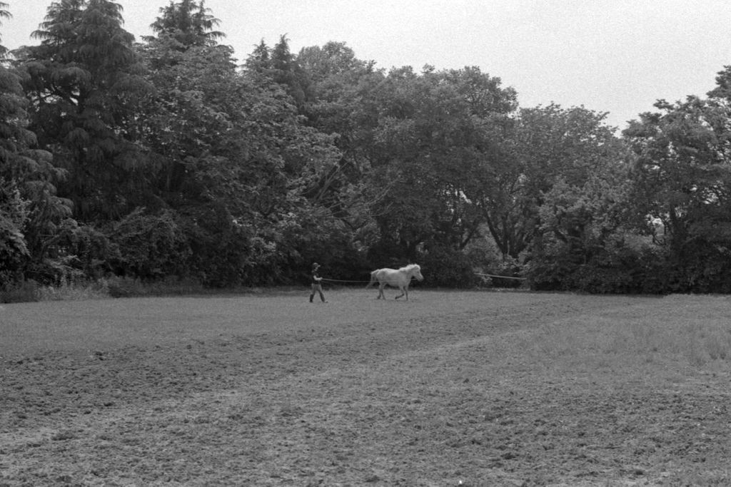 f:id:aremo-koremo:20210603032326j:plain