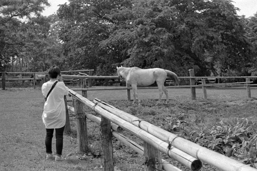 f:id:aremo-koremo:20210603032525j:plain