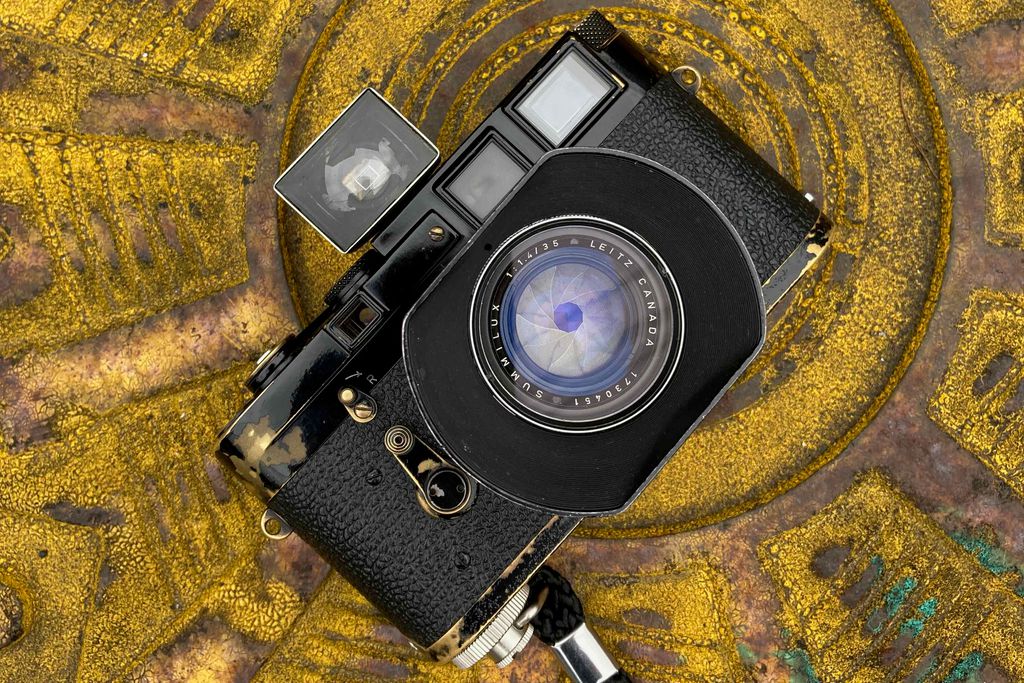 f:id:aremo-koremo:20210630143631j:plain