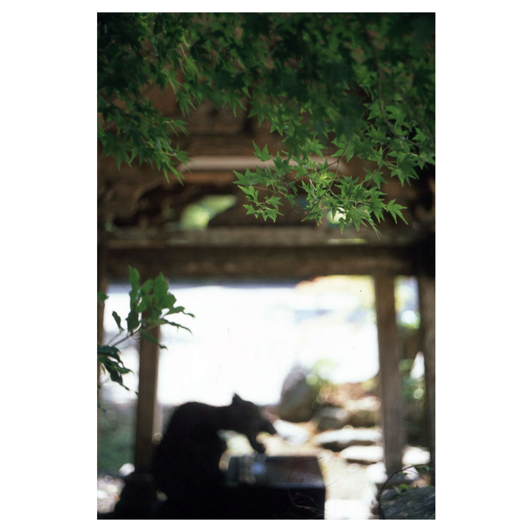 f:id:aremo-koremo:20210808021232j:plain