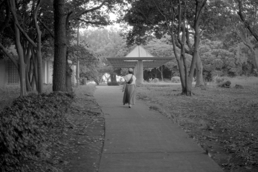 f:id:aremo-koremo:20210901161749j:plain