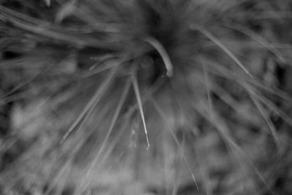 f:id:aremo-koremo:20210901162600j:plain