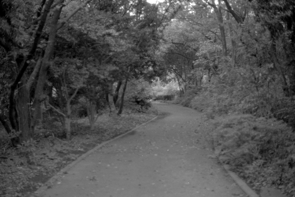 f:id:aremo-koremo:20210901163049j:plain