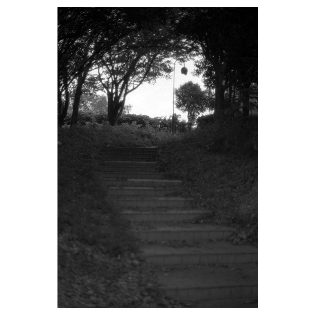 f:id:aremo-koremo:20210901164007j:plain