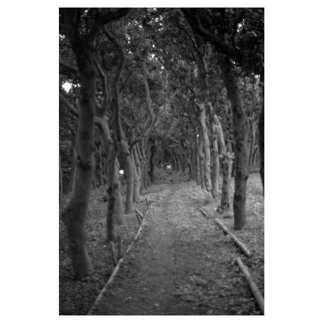 f:id:aremo-koremo:20210901164521j:plain