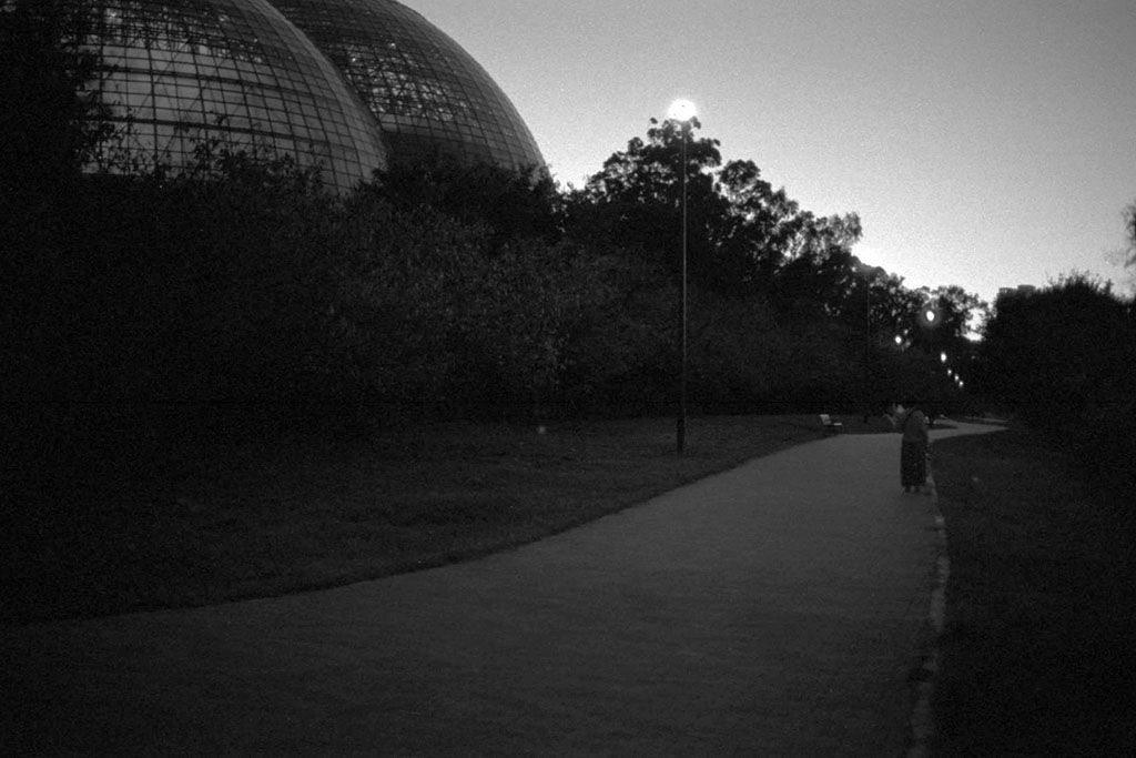 f:id:aremo-koremo:20211116001953j:plain