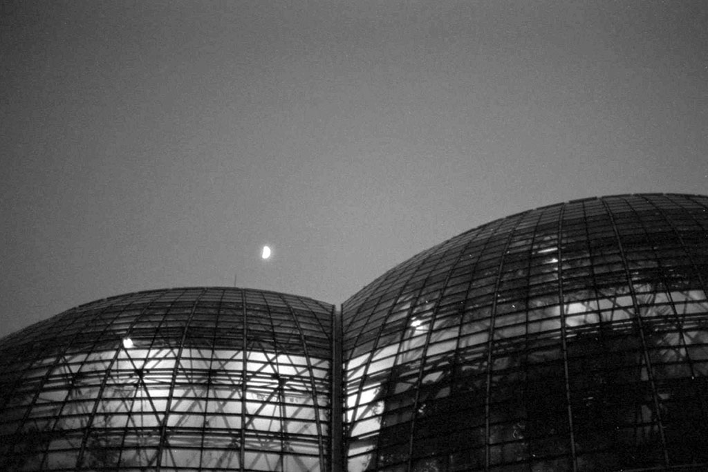 f:id:aremo-koremo:20211116002135j:plain