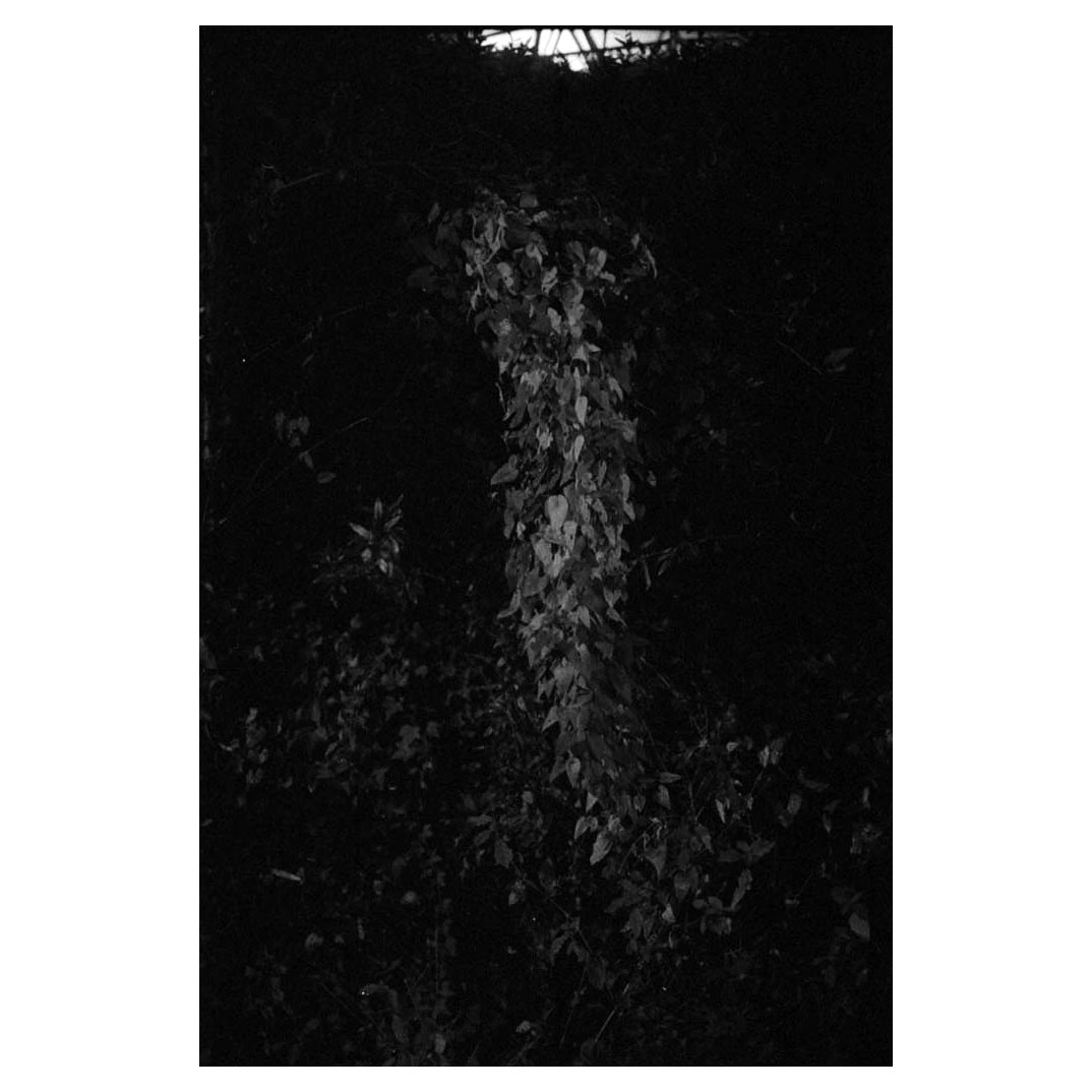 f:id:aremo-koremo:20211116002331j:plain