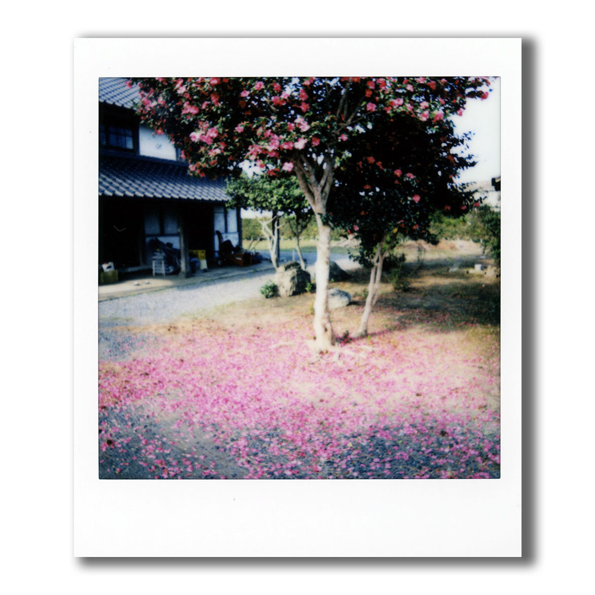 f:id:aremo-koremo:20211121171613j:plain