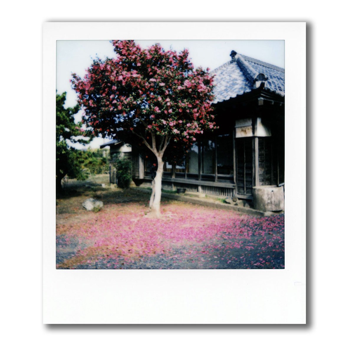 f:id:aremo-koremo:20211123023203j:plain