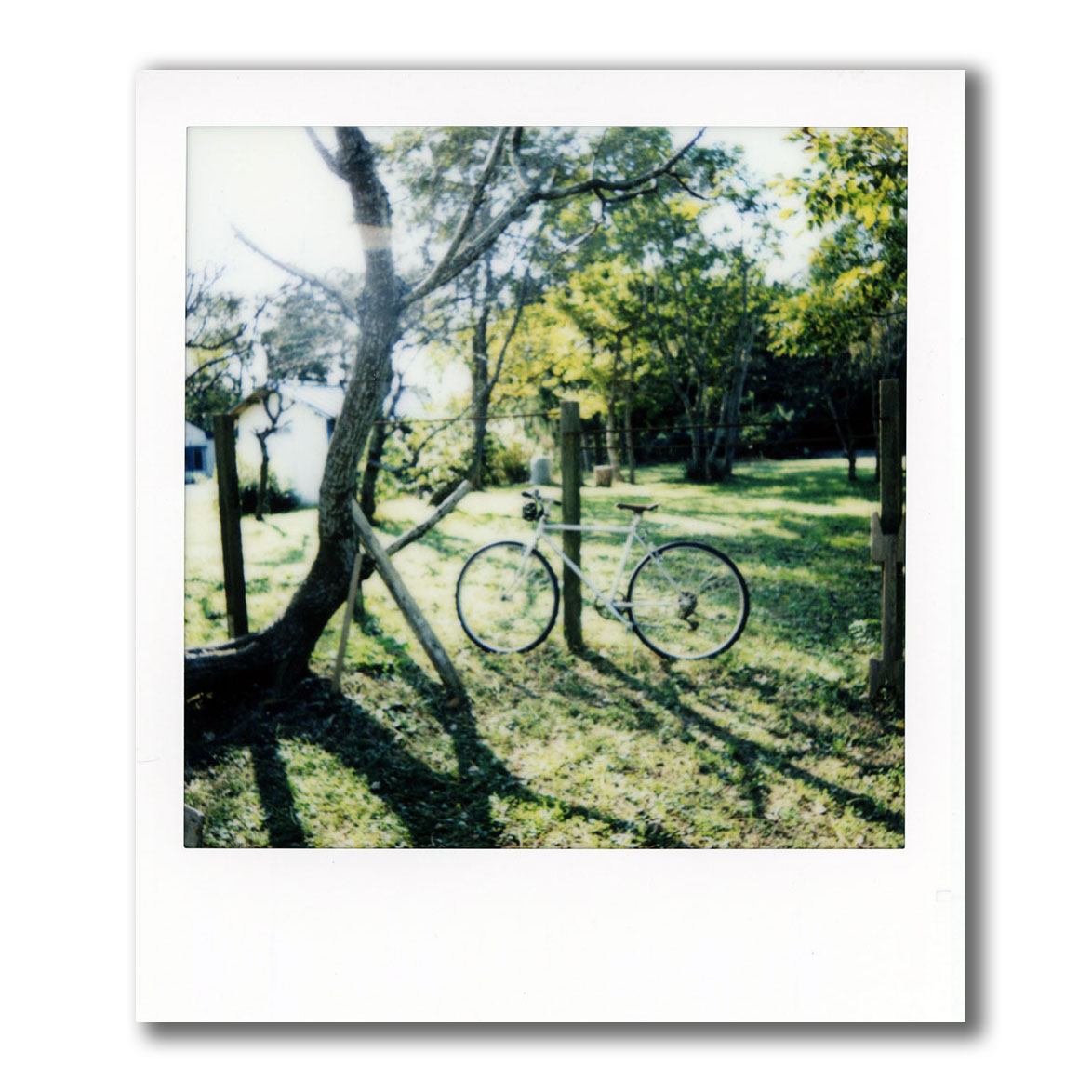 f:id:aremo-koremo:20211123023347j:plain