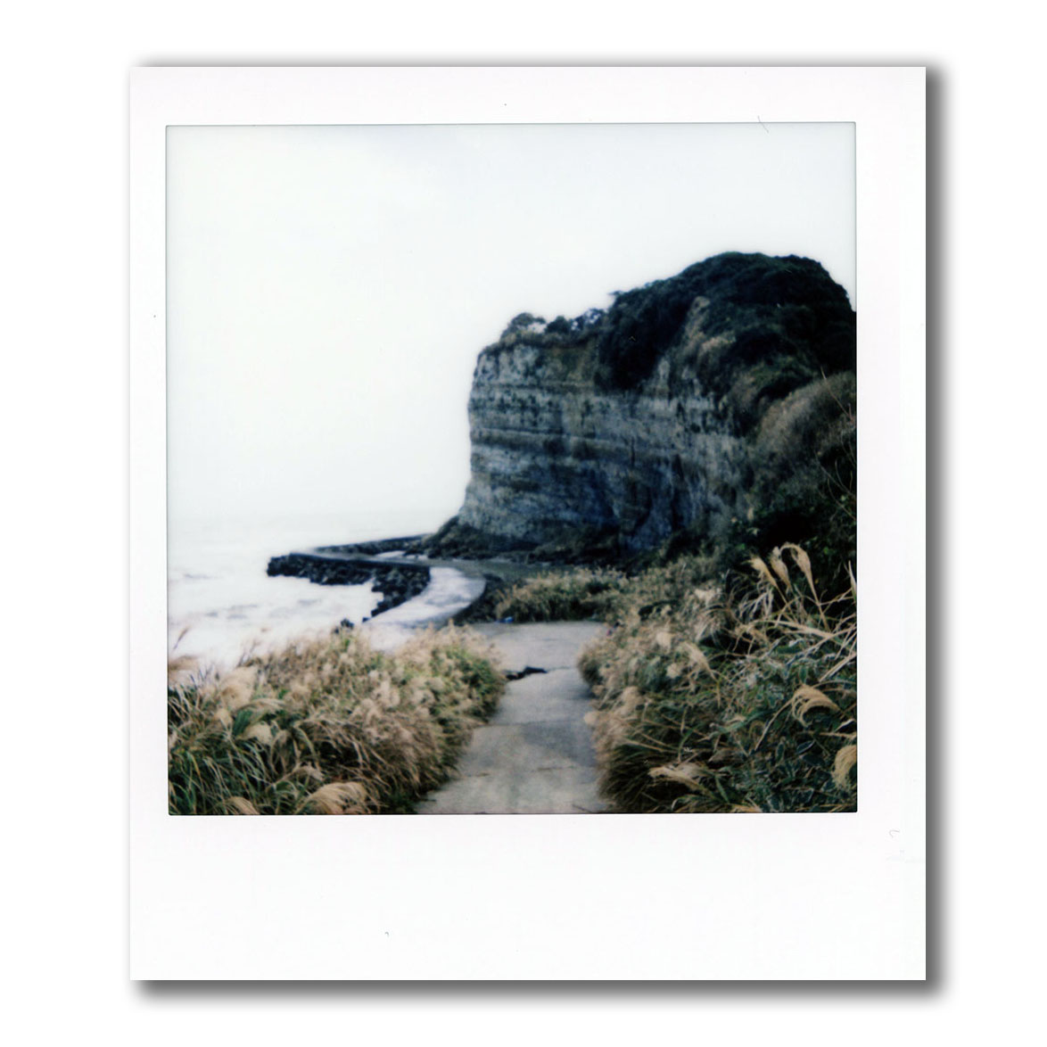 f:id:aremo-koremo:20211123024010j:plain