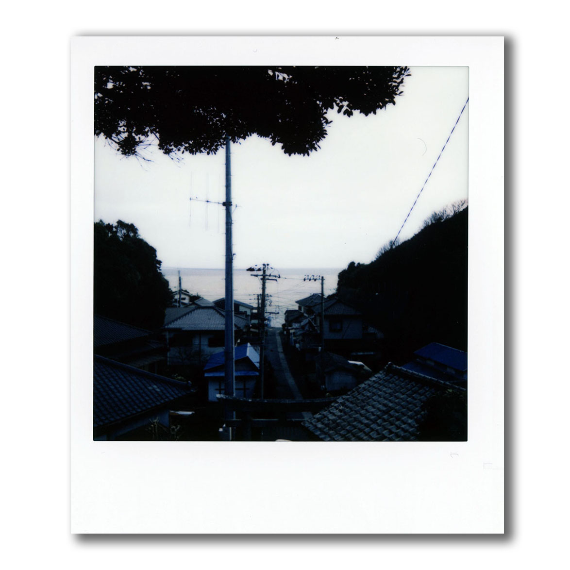 f:id:aremo-koremo:20211123024159j:plain