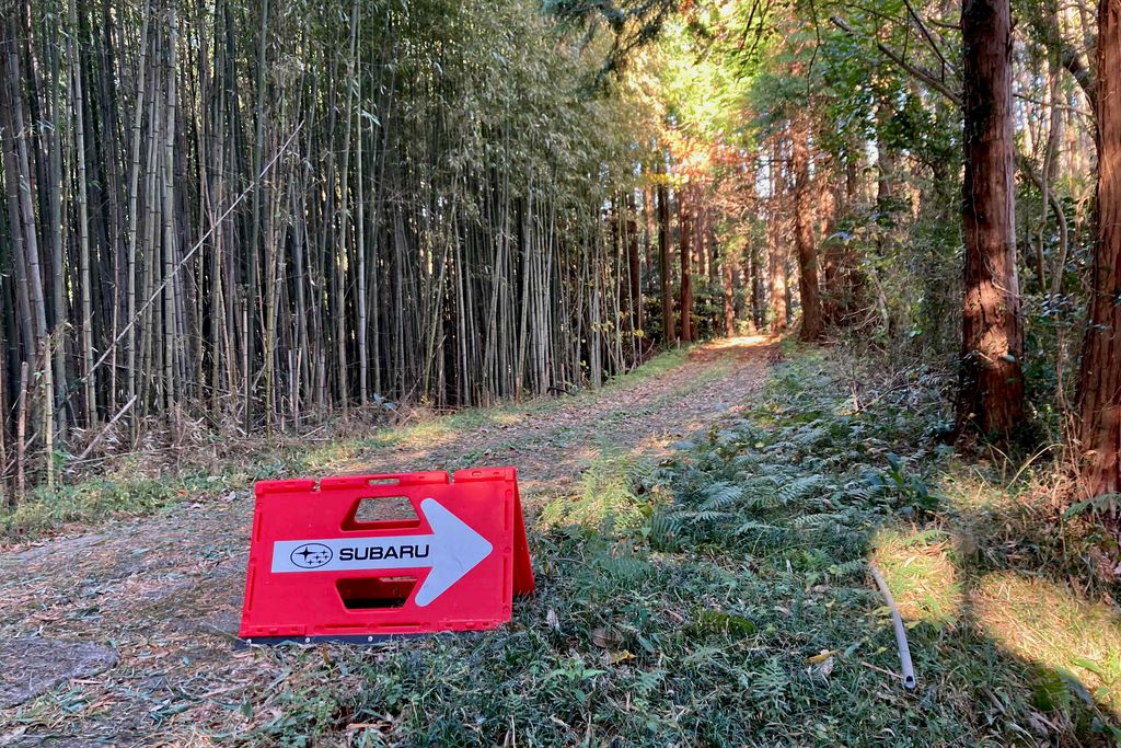 f:id:aremo-koremo:20211217174541j:plain