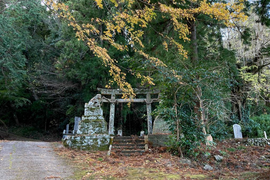 f:id:aremo-koremo:20211217175328j:plain