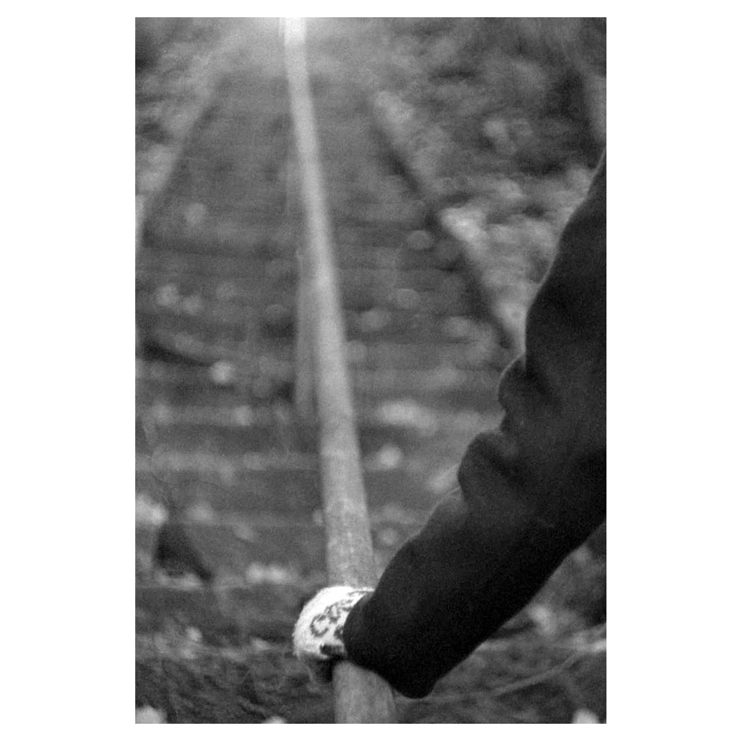 f:id:aremo-koremo:20211217180014j:plain