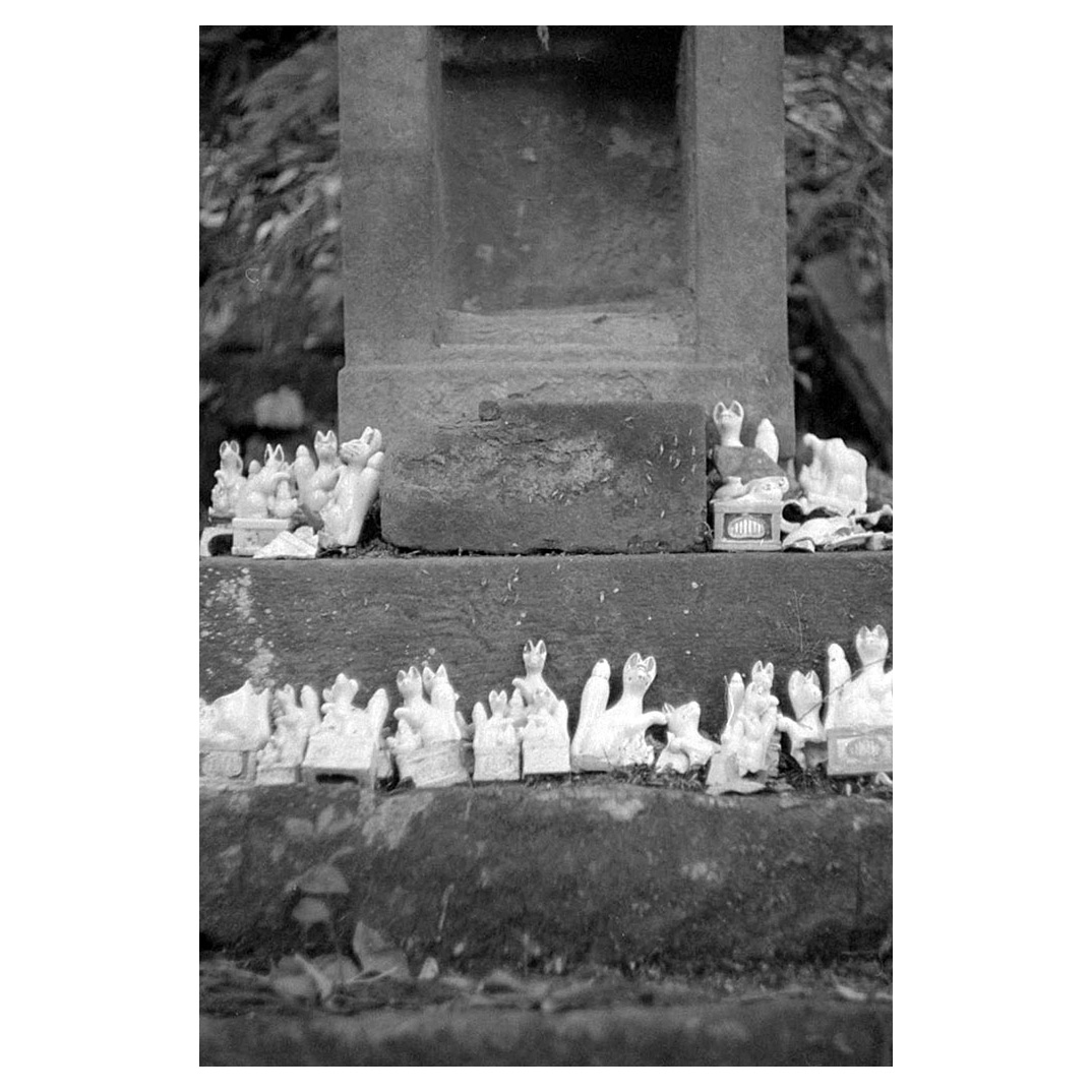 f:id:aremo-koremo:20211217180706j:plain